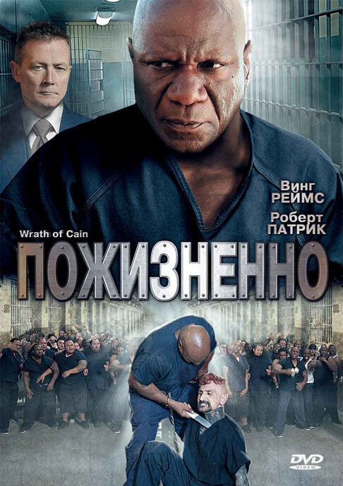 Пожизненно (2010)