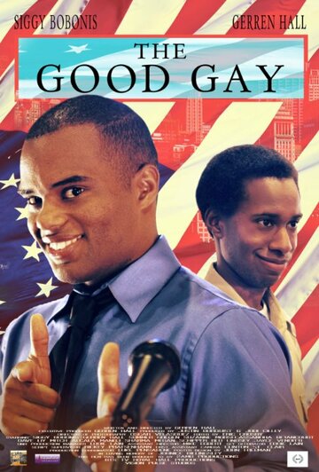 The Good Gay (2014)